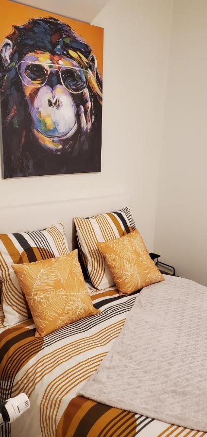 Triangle D'Or - Calme Et Cosy, Appartement 1 Chambre Сен-Кантен Екстер'єр фото
